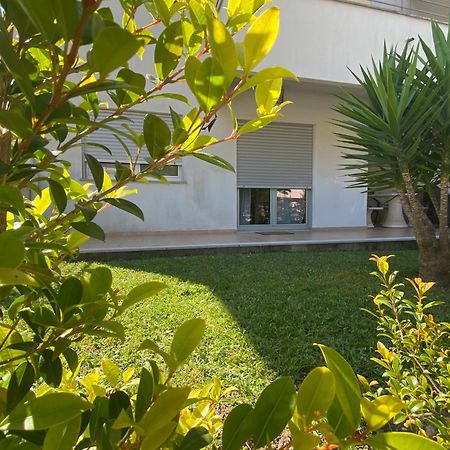 Essencyahomecoimbra Ngoại thất bức ảnh
